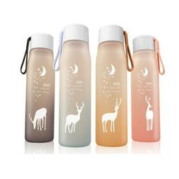 560ml Plastic Water Bottle Leak Proof for Girl Biking Travel
