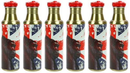 Thermos 24-Ounce ROHO Hydration Bottle, Brilliant