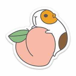 Peach And Guinea Pig Vinyl Sticker For Laptop And Water Bott