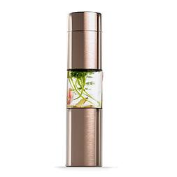 Stainless Steel Fruit Infuser Slim and Classy Water Bottle 1