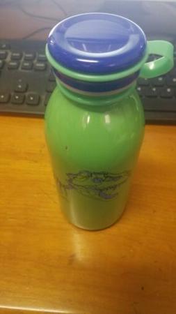 Water Bottle 12oz Stainless Steel Water Bottle Dino Green - 